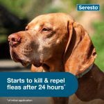 Seresto Flea & Tick Collar For Dogs Over 18 lbs., Vet-Recommended, 8 Month Protection - Image 2