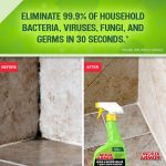 Home Armor Instant Mold & Mildew Stain Remover, 32 oz - Image 5
