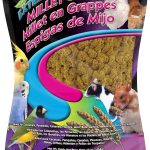 F.M. Brown's Extreme Spray Millet Treat 16 Oz For Parakeets, Cockatiels, and Finches