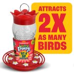 Pennington Glass Red Hummingbird Feeder, 16 oz Nectar Capacity