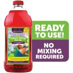 Pennington Ready-to-Use Ultra Hummingbird Nectar Food, No Artificial Dye, 64 fl oz Liquid, 1 Pack