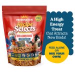 Pennington Recipe Selects Dried Mealworms for Birds, Bluebird and Wild Bird Food for Outside Feeder, 17.6 oz Bag, 1 Pack