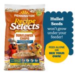 Pennington Recipe Selects Sunflower Chips, Dry Wild Bird Food and Seed, 5 lb. Bag, 1 Pack