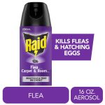 Raid Flea Killer Plus Carpet & Room Spray, Bug Spray Kills Fleas & Hatching Eggs, 16 oz.