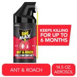 Raid MAX Indoor Ant and Roach Insecticide, 14.5 oz