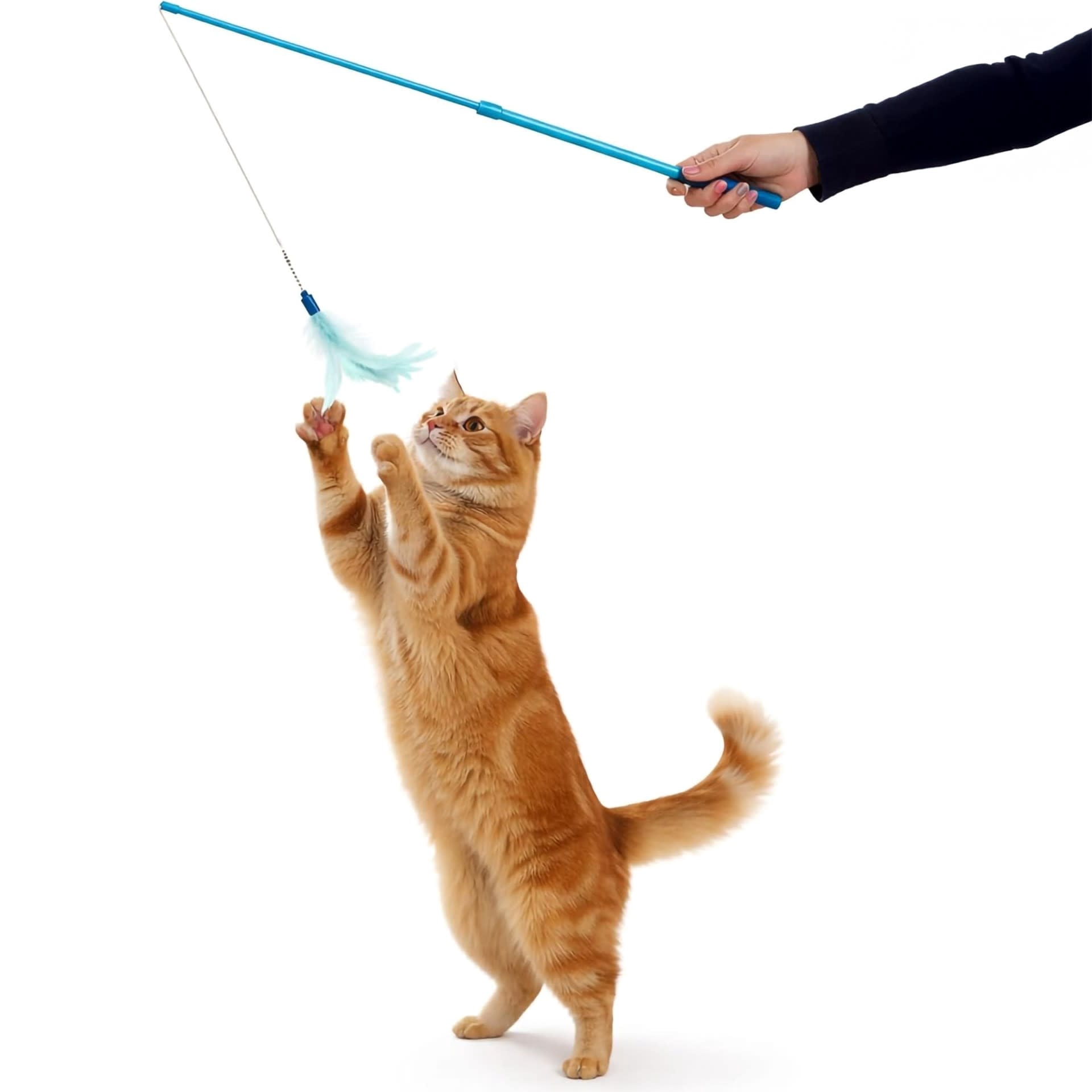 SmartyKat-Frisky-Flyer-Interactive-Cat-Toy-Extendable-and-Retractable-Wand-with-Feathers_fd68e237-c75f-4ded-b4cd-6f6076cf480d.cb5e8e171f32014b6a19f9df515d330c.jpeg SmartyKat Frisky Flyer, Interactive Cat Toy, Extendable and Retractable Wand with Feathers - Image 1