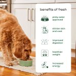 Freshpet Fresh Dog Food, Chunky Beef Recipe, Slice & Serve Roll, 6 lb. - Image 7