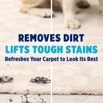OxiClean Large Carpet Cleaner Liquid Solution for Steam Cleaning Machines, 64 fl oz - Image 5