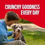 Milk Bone GravyBones Dog Biscuits, Gravy Coated Small Dog Treats, 19 oz Box - Image 3