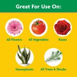 Miracle-Gro Water Soluble All Purpose Plant Food, For All Plant Types, 1.5 lbs. - Image 4