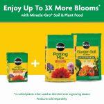 Miracle-Gro Water Soluble All Purpose Plant Food, For All Plant Types, 1.5 lbs. - Image 6