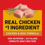 Purina ONE Chicken and Rice Formula Natural Dog Food, 16.5 lb - Image 5