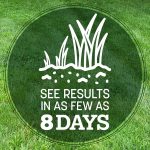 Pennington Kentucky 31 Tall Fescue Grass Seeds for Lawn, for Sun to Partial Shade, 3 lb - Image 5