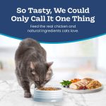 Blue Buffalo Tastefuls Natural Dry Food for Adult Indoor Cats, Chicken & Brown Rice Recipe, 5-lb. Bag - Image 5