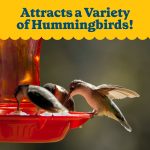 Pennington Glass Red Hummingbird Feeder, 16 oz Nectar Capacity - Image 7