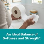 Angel Soft 2-Ply Toilet Paper, 9 Mega Rolls, 320 Sheets Per Roll - Image 2