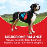 Purina ONE Chicken and Rice Formula Natural Dog Food, 16.5 lb - Image 4