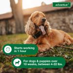 Advantus Chewable Flea Treatment for Dogs 4 - 22 lbs. 7 Soft Chews - Image 2