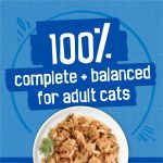 Purina Friskies Oceans of Delight Prime Filets & Flaked Wet Cat Food Variety Pack, 5.5 oz Cans (40 Pack) - Image 6