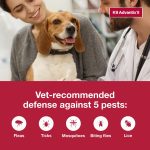 K9 Advantix II Monthly Flea & Tick Prevention for Medium Dogs 11-20 lbs, 2-Monthly Treatments - Image 2