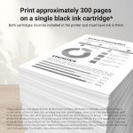 Canon PG-245 XL High Yield Black Ink Cartridge - Image 2