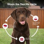 K9 Advantix II Monthly Flea & Tick Prevention for Large Dogs 21-55 lbs, 2-Monthly Treatment - Image 3