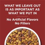 Purina Dog Chow Complete Adult Dry Dog Food for Adult Dogs, Kibble Beef Flavor, 44 lb Bag - Image 2