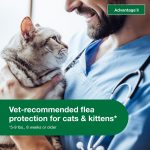 Advantage II Vet-Recommended Flea Prevention for Small Cats 5-9 lbs, 2-Monthly Treatments - Image 2