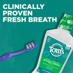 Tom's of Maine Wicked Fresh! Alcohol-Free Natural Mouthwash, Cool Mountain Mint, 16 oz. - Image 2
