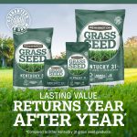 Pennington Kentucky 31 Tall Fescue Grass Seeds for Lawn, for Sun to Partial Shade, 3 lb - Image 6