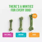 MINTIES Dog Dental Bone Treats, Dental Chews for Tiny & Small Dogs, 40 Count, Shelf-Stable - Image 4