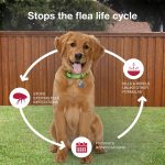 K9 Advantix II Monthly Flea & Tick Prevention for Medium Dogs 11-20 lbs, 2-Monthly Treatments - Image 3