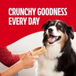 Milk Bone Crunchy Large Dog Treats, 10 Lb. Box, Original Beef Flavor - Image 3