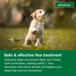 Advantus Chewable Flea Treatment for Dogs 4 - 22 lbs. 7 Soft Chews - Image 5