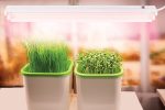 Great Value 2ft LED Grow Light, 14W Full Spectrum, Linkable with Integrated Receptacle (up to 10 Units) - Single Pack - Image 3