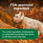 Advantus Chewable Flea Treatment for Dogs 4 - 22 lbs. 7 Soft Chews - Image 3
