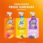 Lysol Brand New Day All Purpose Cleaner Mango & Hibiscus, Deep Clean 32 fl oz - Image 7