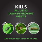Spectracide Triazicide Insect Killer for Lawns, Granules Kill Lawn-Damaging Insects, 20 lb - Image 3