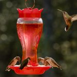 Pennington Glass Red Hummingbird Feeder, 16 oz Nectar Capacity - Image 3