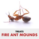 Spectracide Fire and Ant Shield Mound Destroyer Granules, Kills Ants, 7lbs - Image 2