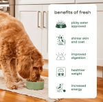 Freshpet Dog Treat, Dog Joy Wood-Smoked Turkey Bacon Treat, 3 oz Bag - Image 3