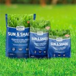Expert Gardener Sun & Shade Southern Grass Seed Mix, for Sun to Partial Shade, 3 lb. - Image 7