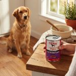 Ol' Roy Filet Mignon Flavor Cuts in Gravy Wet Dog Food, 13.2 oz Can - Image 3