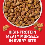 Purina ONE Chicken and Rice Formula Natural Dog Food, 16.5 lb - Image 3
