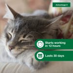 Advantage II Vet-Recommended Flea Prevention for Small Cats 5-9 lbs, 2-Monthly Treatments - Image 5
