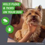 FRONTLINE Plus for Dogs Flea & Tick Small Breed Dog Spot Treatment, 5 - 22 lbs, 3 Count - Image 4