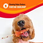Good 'n' Fun Triple Flavor Ribs, Rawhide Chews for All Dogs, 24 oz. - Image 4